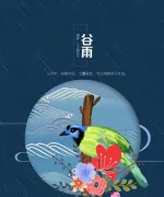 谷雨二十四节气海报设计