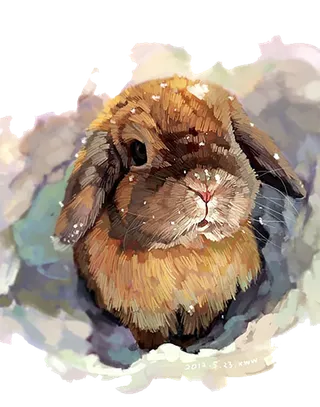 兔子绘画兔年