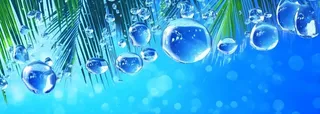 夏日椰树水珠冰爽背景