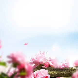 电商主图 网店主图  PSD模板