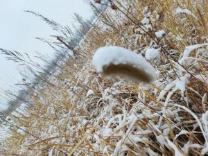 雪雪后美景雪后美景简约