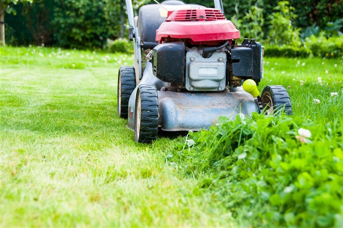 草地上红色的割草机