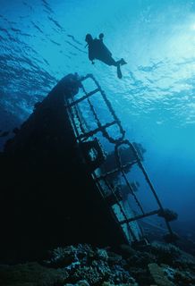 海底探险折图片素材欣赏