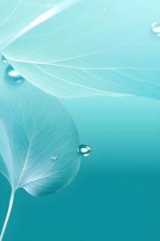 树叶露珠青色大气意境背景