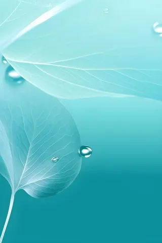 树叶露珠青色大气意境背景