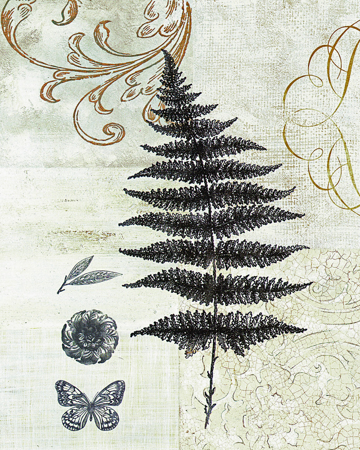 简约素描树枝树叶插画