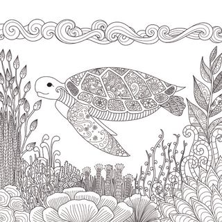 海底世界卡通手绘黑白线描线稿