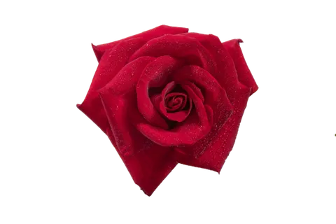 鲜花玫瑰免扣素材