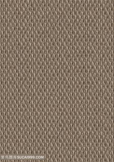 地毯 布纹 纹理 中式地毯 客厅地毯 卧室地毯 沙发地毯 家装地毯 床边毯 地垫 现代地毯 几何地毯