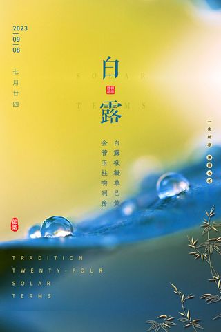 白露图片海报