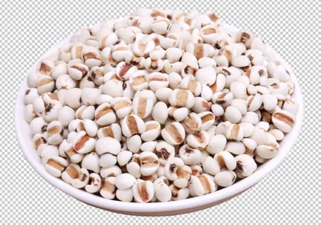 薏米免扣素材 薏米免扣素材
