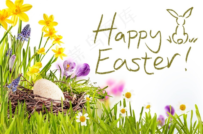 精美节日彩蛋设计高清图片