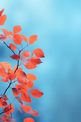 红叶大气简约蓝色背景