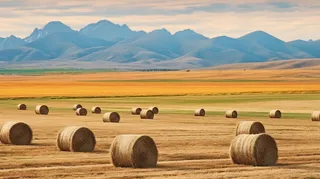 秋天的田地里的堆满了草垛摄影图