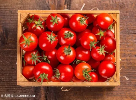 新鲜西红柿番茄高清图片