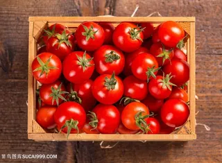 新鲜西红柿番茄高清图片