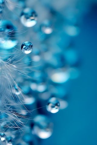 露珠蓝色清新大气背景
