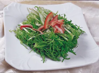 1009LC-0313苦菊珊瑚贝