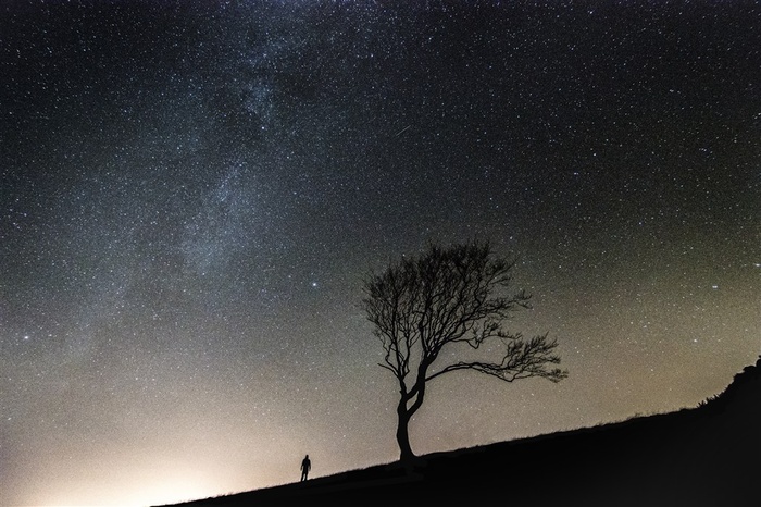 夜空中最亮的星摄影图片