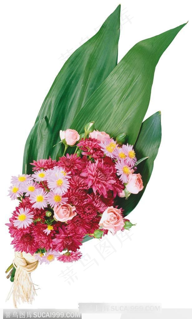 花艺花束-红色的菊花