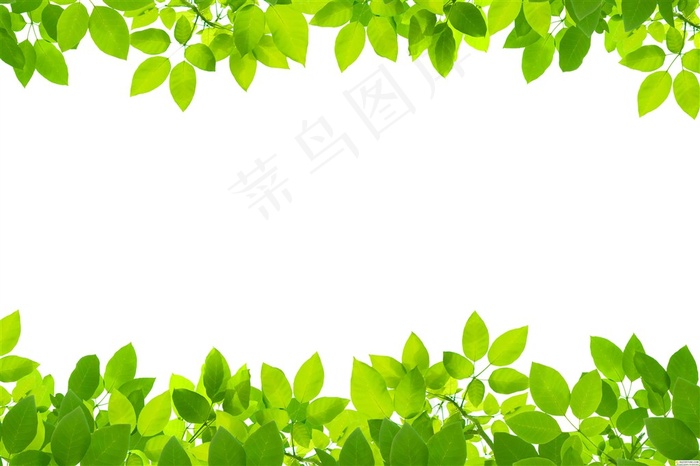 树叶背景图片