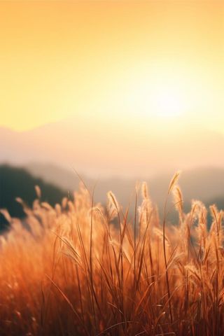 落日黄昏夕阳枝叶简约节气海报背景