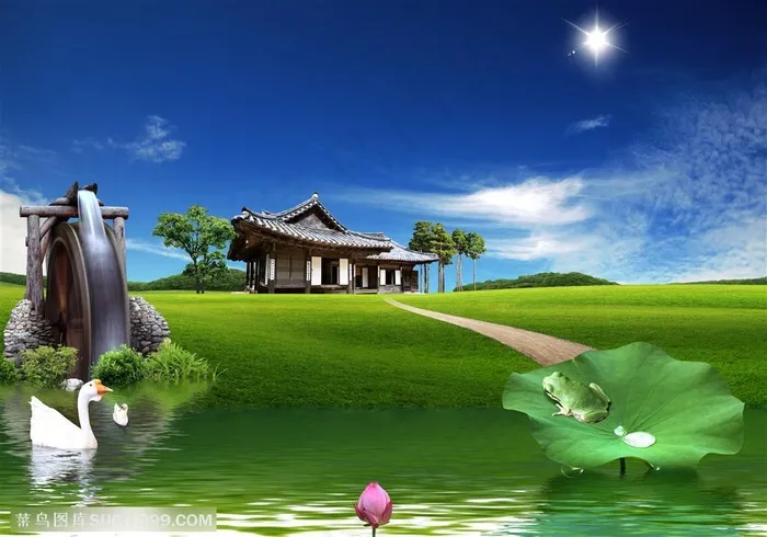 月色荷塘风景