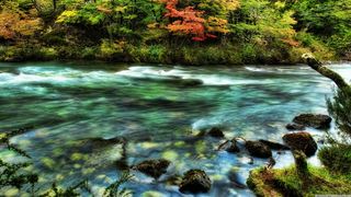 山水 山水图 山 水 山水风景 云 树木 树林 背景