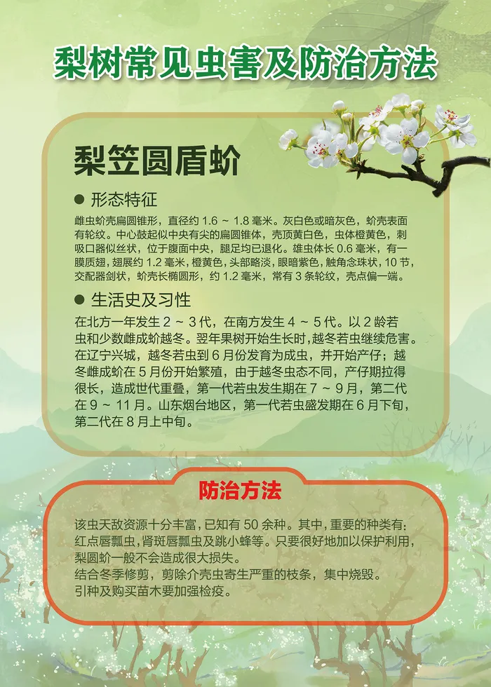 梨树常见虫害及防治方法海报psd模版下载
