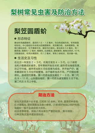梨树常见虫害及防治方法海报