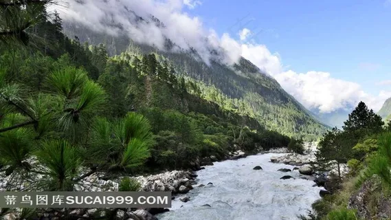 西藏察隅森林流水风景