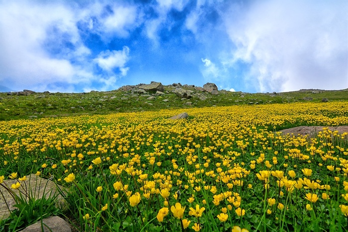 冬天自然背景风景