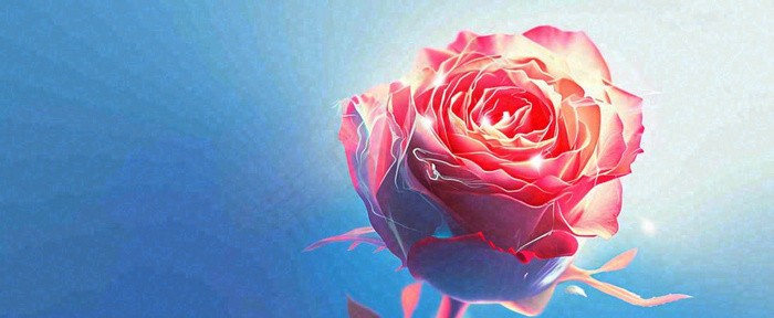 红玫瑰蓝色天空白云唯美，鲜花