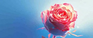 红玫瑰蓝色天空白云唯美，鲜花