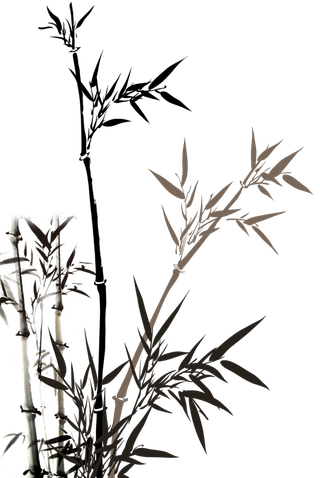 竹子水墨画中国风国画墨水书法竹子画