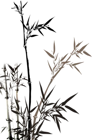 竹子水墨画中国风国画墨水书法竹子画