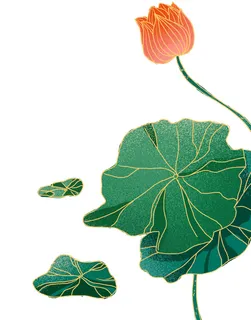 国潮中国风手绘荷花莲花荷叶莲藕植物花卉装饰插画PSD设计素材