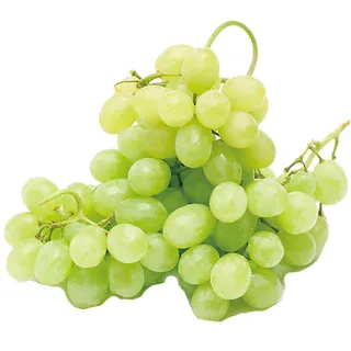 提子-4水果超市商品白底图免抠实物摄影png格式图片透明底