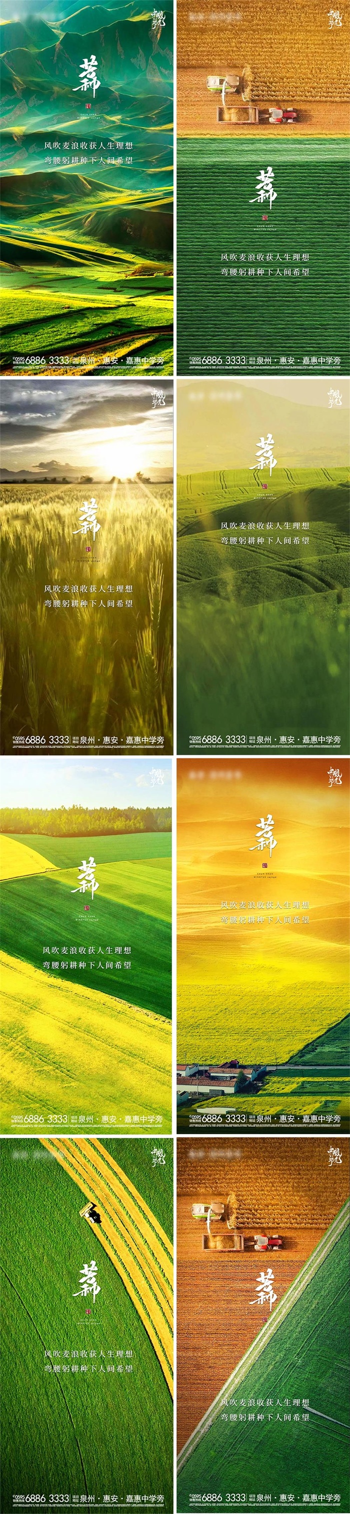 大气绿色实景节气芒种系列长图海报psd模版下载