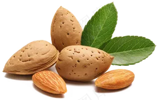 免抠干果坚果杏仁免抠