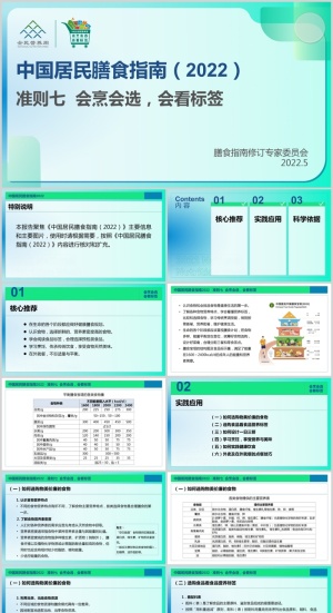 清新平衡膳食八准则解读PPT模板预览图