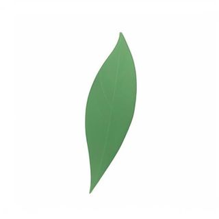 一片绿色叶子png免抠