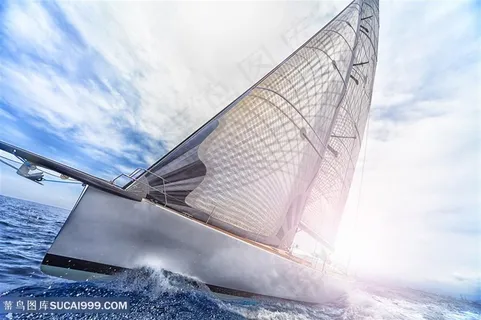 创意杨帆高清图片