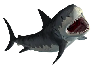 鲨鱼PNG免扣素材海洋世界大海海底