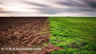 等待耕耘的草地