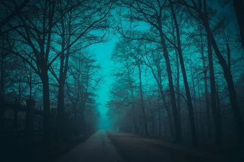 蓝色神秘的森林高清图片