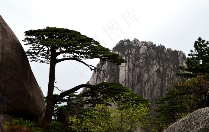 安徽黄山迎客松风景摄影