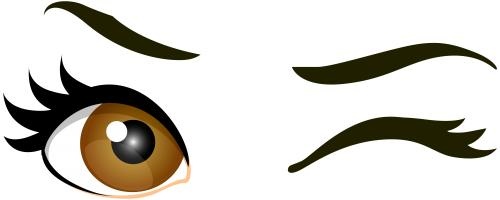 眼睛 PNG免抠(500x200)