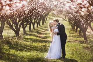 森系婚纱摄影图片