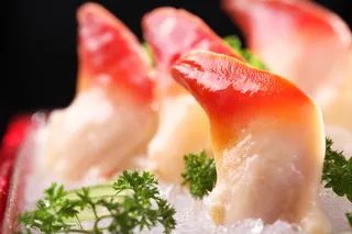 L02753刺身北极贝 (9)